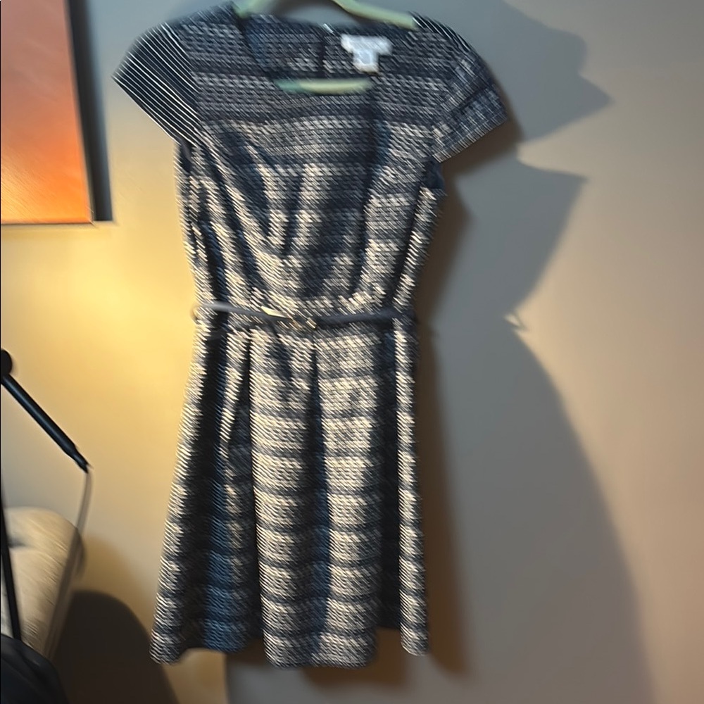 Liz Claiborne Blue and White Fit and Flare Midi Dress